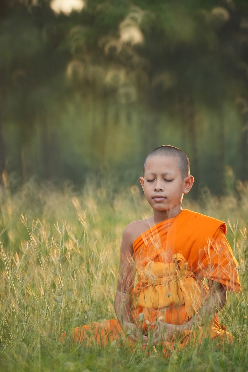 Vinyasa Flow Yoga Pose